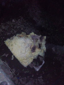 IMG_20161003_223616.jpg (4544 просмотра) <a class='original' href='./download/file.php?id=91944&mode=view' target=_blank>Загрузить оригинал (1.28 МБ)</a>