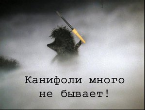 35164a60b4b2698210104ff4189f7199.jpeg (2446 просмотров) <a class='original' href='./download/file.php?id=91956&mode=view' target=_blank>Загрузить оригинал (44.03 КБ)</a>