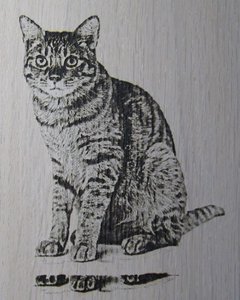 Вся картинка (3900 просмотров) <a class='original' href='./download/file.php?id=92030&mode=view' target=_blank>Загрузить оригинал (226.46 КБ)</a>