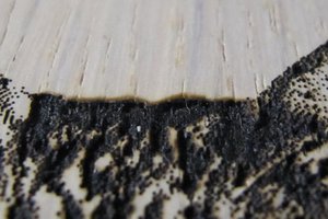 Между ушей (3900 просмотров) <a class='original' href='./download/file.php?id=92031&mode=view' target=_blank>Загрузить оригинал (88.34 КБ)</a>