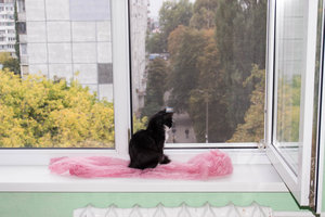 _DSC5472.jpg (2754 просмотра) <a class='original' href='./download/file.php?id=92097&mode=view' target=_blank>Загрузить оригинал (163.02 КБ)</a>