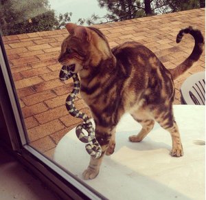 фпустите.jpg (2442 просмотра) <a class='original' href='./download/file.php?id=92393&mode=view' target=_blank>Загрузить оригинал (74.54 КБ)</a>