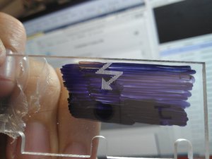 WP_001665.jpg (3004 просмотра) <a class='original' href='./download/file.php?id=92772&mode=view' target=_blank>Загрузить оригинал (714.05 КБ)</a>