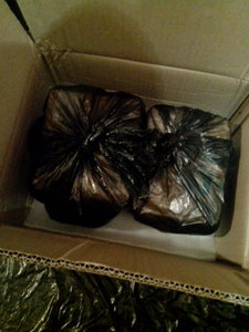 упаковка (1335 просмотров) <a class='original' href='./download/file.php?id=93068&mode=view' target=_blank>Загрузить оригинал (495.9 КБ)</a>