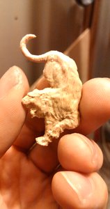 IMG-20160923-WA0011.jpeg (4791 просмотр) <a class='original' href='./download/file.php?id=93087&mode=view' target=_blank>Загрузить оригинал (775.93 КБ)</a>