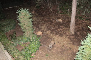 IMG_7542.JPG (4055 просмотров) <a class='original' href='./download/file.php?id=93388&mode=view' target=_blank>Загрузить оригинал (11.7 МБ)</a>