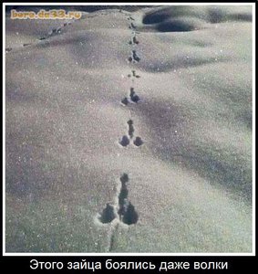 22060_boro.da33.ru.jpg (2798 просмотров) <a class='original' href='./download/file.php?id=95540&mode=view' target=_blank>Загрузить оригинал (52.3 КБ)</a>