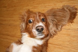 гэня.jpg (5159 просмотров) <a class='original' href='./download/file.php?id=95788&mode=view' target=_blank>Загрузить оригинал (270.29 КБ)</a>