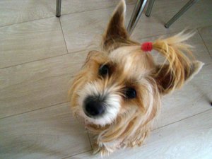 DSC00094sm.jpg (5114 просмотров) <a class='original' href='./download/file.php?id=95925&mode=view' target=_blank>Загрузить оригинал (63.67 КБ)</a>