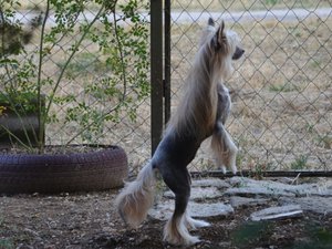 by.jpg (5101 просмотр) <a class='original' href='./download/file.php?id=95933&mode=view' target=_blank>Загрузить оригинал (271.17 КБ)</a>