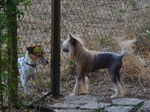 hi.jpg (5101 просмотр) <a class='original' href='./download/file.php?id=95934&mode=view' target=_blank>Загрузить оригинал (279.05 КБ)</a>