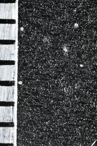 PS8A0310.JPG (3360 просмотров) <a class='original' href='./download/file.php?id=96016&mode=view' target=_blank>Загрузить оригинал (5.55 МБ)</a>