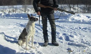 2016-02-11 (22).JPG (5053 просмотра) <a class='original' href='./download/file.php?id=96240&mode=view' target=_blank>Загрузить оригинал (905.89 КБ)</a>