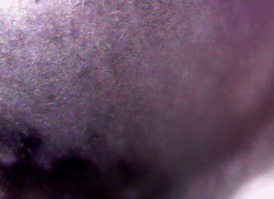 шарик_протравленный_x500.JPG (5709 просмотров) <a class='original' href='./download/file.php?id=96805&mode=view' target=_blank>Загрузить оригинал (134.09 КБ)</a>