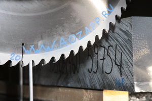 IMG_9786.JPG (1516 просмотров) <a class='original' href='./download/file.php?id=96844&mode=view' target=_blank>Загрузить оригинал (5.76 МБ)</a>