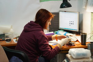 DSC00392.JPG (3567 просмотров) <a class='original' href='./download/file.php?id=97007&mode=view' target=_blank>Загрузить оригинал (736 КБ)</a>