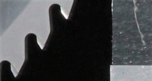 IMG_9776_ЗУБЬЯ ПОСЛЕ РЕЗКИ.jpg (2316 просмотров) <a class='original' href='./download/file.php?id=97146&mode=view' target=_blank>Загрузить оригинал (49.51 КБ)</a>