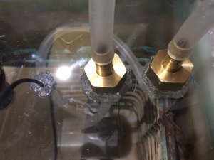 IMG_6623.JPG (2037 просмотров) <a class='original' href='./download/file.php?id=97285&mode=view' target=_blank>Загрузить оригинал (1.03 МБ)</a>