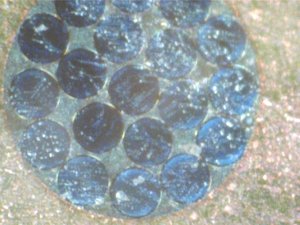 Изображение 020.jpg (4123 просмотра) <a class='original' href='./download/file.php?id=9732&mode=view' target=_blank>Загрузить оригинал (46.9 КБ)</a>