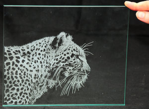 gl_1.jpg (6584 просмотра) <a class='original' href='./download/file.php?id=97358&mode=view' target=_blank>Загрузить оригинал (339.91 КБ)</a>