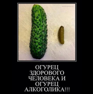 Огурец.png (3076 просмотров) <a class='original' href='./download/file.php?id=97677&mode=view' target=_blank>Загрузить оригинал (133.75 КБ)</a>