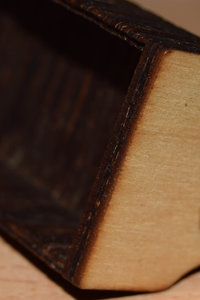 DSC_0887.JPG (2692 просмотра) <a class='original' href='./download/file.php?id=97794&mode=view' target=_blank>Загрузить оригинал (236.65 КБ)</a>