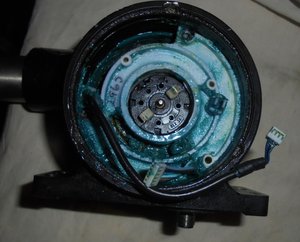 DSC04547 (Копировать).JPG (6130 просмотров) <a class='original' href='./download/file.php?id=97882&mode=view' target=_blank>Загрузить оригинал (277.59 КБ)</a>