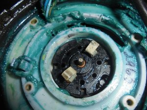 DSC04549 (Копировать).JPG (6130 просмотров) <a class='original' href='./download/file.php?id=97883&mode=view' target=_blank>Загрузить оригинал (347.42 КБ)</a>