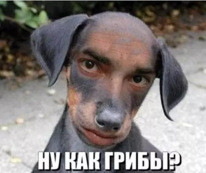 Screenshot - 25.12.2016 , 9_31_56.png (2322 просмотра) <a class='original' href='./download/file.php?id=98444&mode=view' target=_blank>Загрузить оригинал (355.47 КБ)</a>