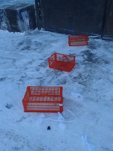 20161225_152703.jpg (2176 просмотров) <a class='original' href='./download/file.php?id=98462&mode=view' target=_blank>Загрузить оригинал (1.94 МБ)</a>