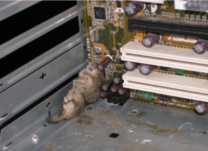 Screenshot - 25.12.2016 , 21_15_55.png (2108 просмотров) <a class='original' href='./download/file.php?id=98472&mode=view' target=_blank>Загрузить оригинал (809.06 КБ)</a>