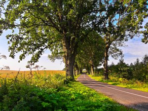 ZK_ZzdU89zE.jpg (3681 просмотр) <a class='original' href='./download/file.php?id=98605&mode=view' target=_blank>Загрузить оригинал (2.2 МБ)</a>