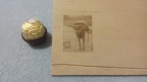 IMG_20170101_171805.jpg (11622 просмотра) <a class='original' href='./download/file.php?id=98972&mode=view' target=_blank>Загрузить оригинал (703.27 КБ)</a>