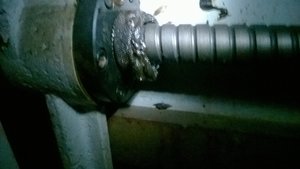 WP_20170102_14_43_29_Pro.jpg (2426 просмотров) <a class='original' href='./download/file.php?id=99072&mode=view' target=_blank>Загрузить оригинал (411.52 КБ)</a>