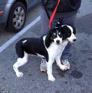 d27ba730c96ab2918410f2394e34156d.jpg (2149 просмотров) <a class='original' href='./download/file.php?id=99533&mode=view' target=_blank>Загрузить оригинал (134.99 КБ)</a>