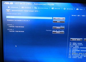 DSCN5463.JPG (2538 просмотров) <a class='original' href='./download/file.php?id=99588&mode=view' target=_blank>Загрузить оригинал (201.49 КБ)</a>