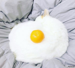 omelette.jpg (2501 просмотр) <a class='original' href='./download/file.php?id=99874&mode=view' target=_blank>Загрузить оригинал (106.29 КБ)</a>